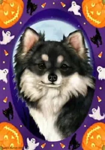 Halloween Garden Flag - Longhaired Chihuahua 123581