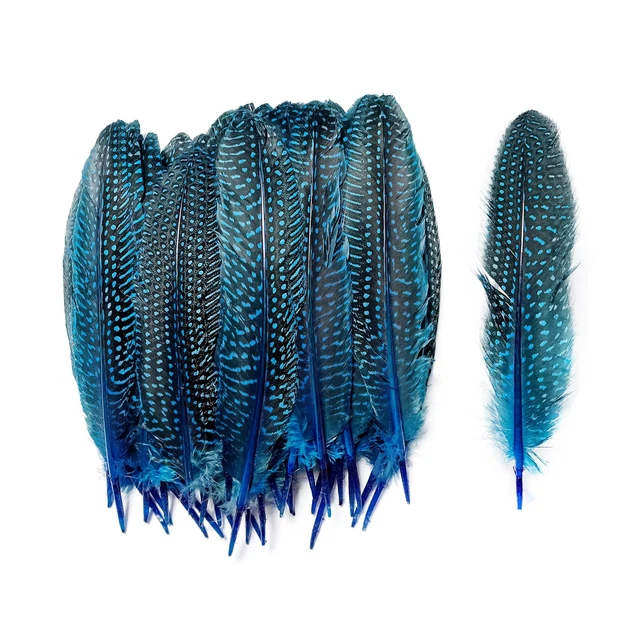 6-9 inch Natural Guinea Wing Plumage Feather for DIY Craft