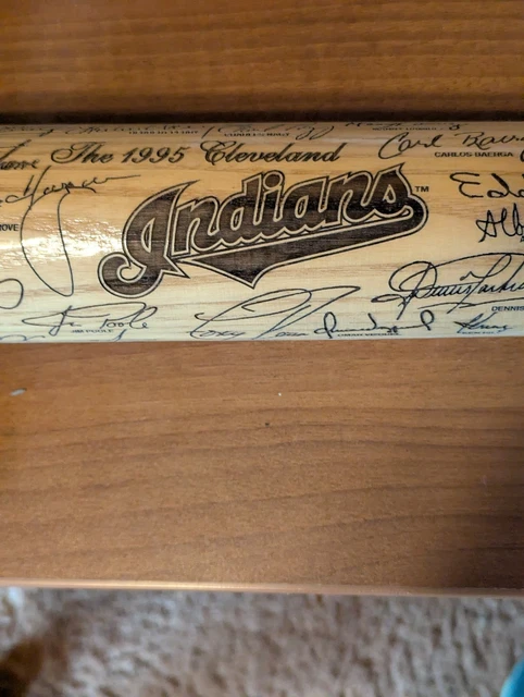 Vintage Greg Luzinski Rawlings Adirondack 242j Pro Ring Little League