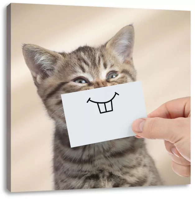 Drôle Chat Avec Sourire Sur Papier, Image de Toile Carré