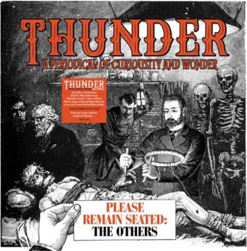 Thunder Please remain seated: The others (Vinyl) 12" Album