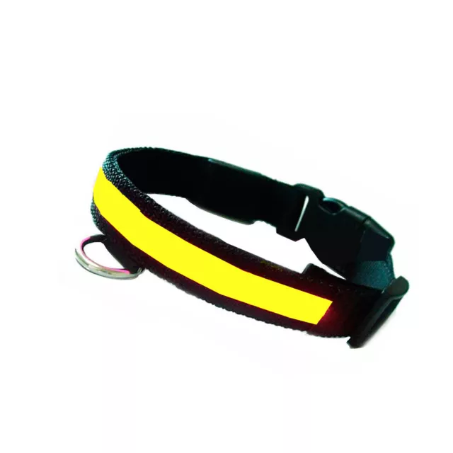 Collar correa perro mascotas con luz led para paseos nocturnos varias tallas 2