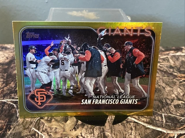 thumbnail image 2 of 2024 Topps Baseball San Francisco Giants Team Set – Series 1, 2, And Update – Near Mint 2 of 5