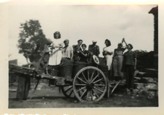 Photo Ancienne - Vintage Snapshot - Vendanges Paysans Charrette - Grape Harvest