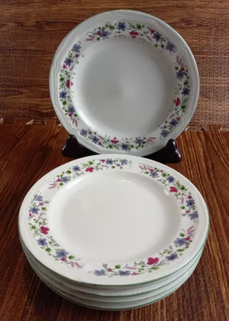 Totally Today Salad Plates 422808 Blue Red Flower Trim TTOTTO30 Green Rim Set 5