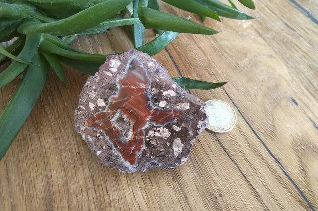 Lithophyse mit Kristall Druse aus Luisenthal 124g Quarz Achat Karneol