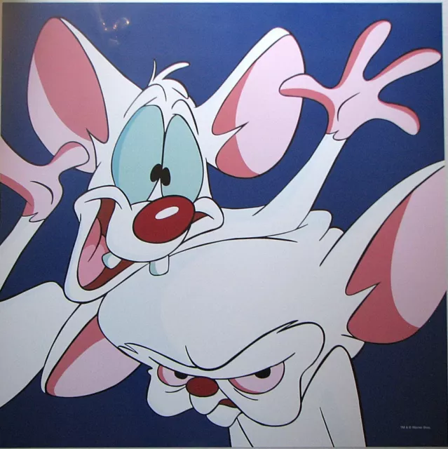 PINKY & the BRAIN SQUARE FACE PRINT WB Animated