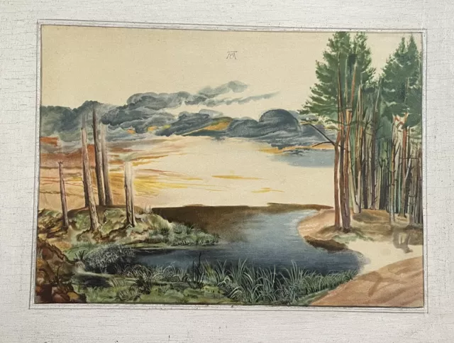 Sammlungsauflösung Weiher im Wald Albrecht Dürer  colored Graphic lithographie