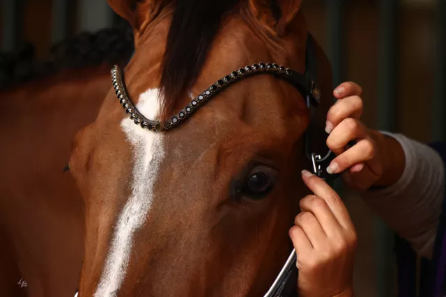 Mega Sparkly Bling Browband