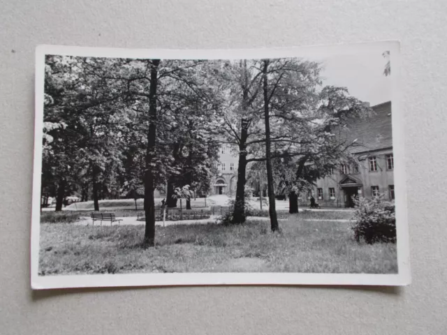 AK Hoyerswerda Platz des Friedens mit Schloß  1959