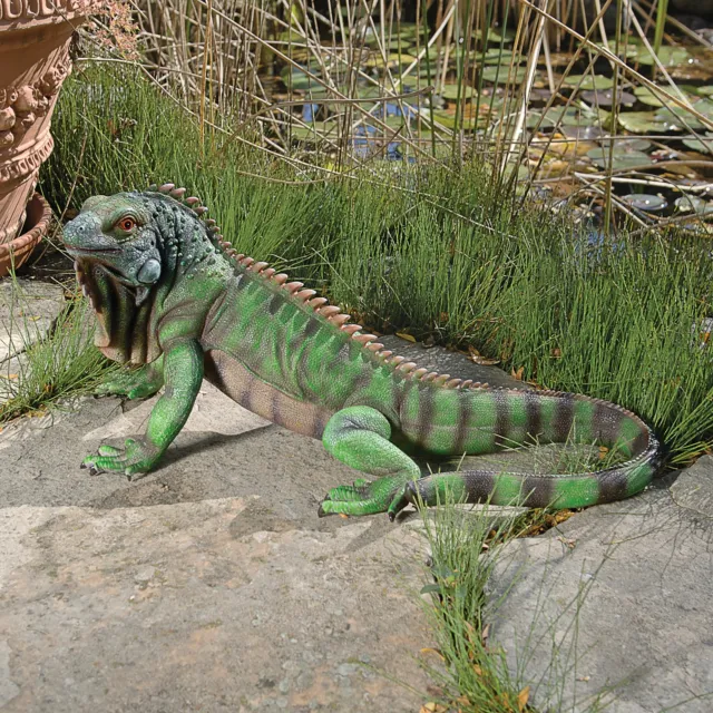 Design Toscano Iggy the Iguana Statue