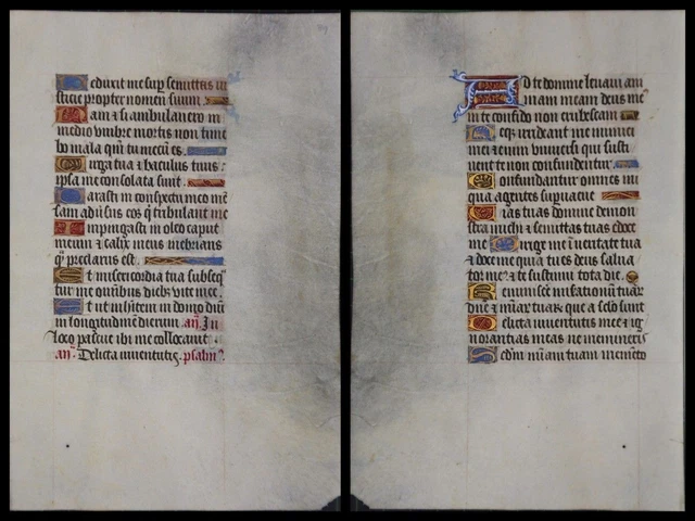 Illuminierte Grafia Su Pergamena Foglia Di Uno Miniatura Um 1500 (065)