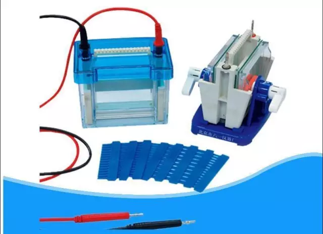 New 82 x 82 mm Lab Mini Modular Dual Vertical Gel Electrophoresis Cell System A