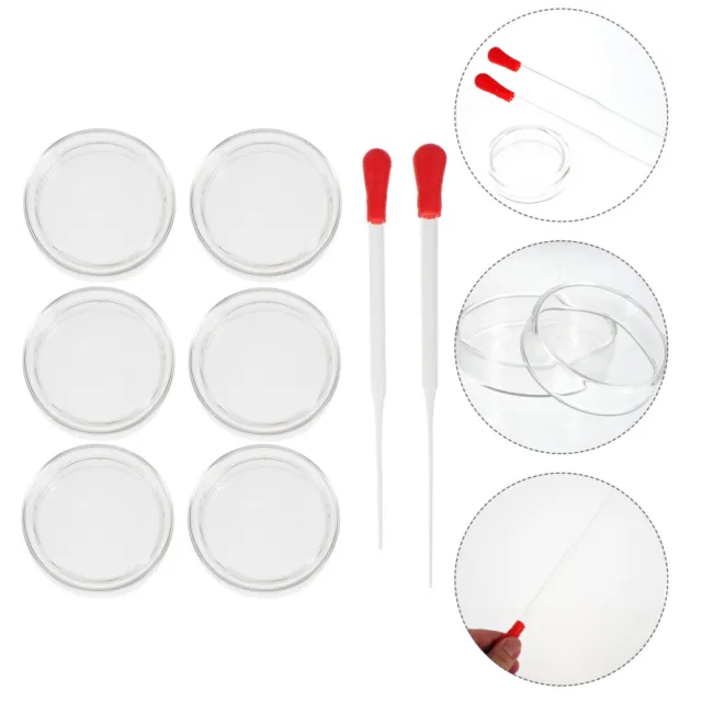 6pcs Glass Culture Dish Dropper Glass Transfer Pipettes Glass Bottom Petri Dish