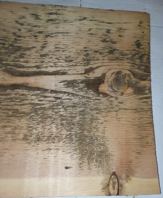 Barn Board Reclaimed Rough Wood Lumber 35” x 12“ x  1” Pine Old Plank Sign Craft