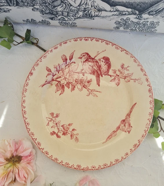 Ancienne Assiette Terre De Fer Decor Oiseau Favori
