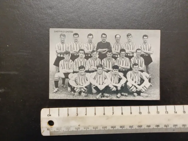 Fußballkarte - SHEFFIELD UNITED - Thomson Star Teams von 1961