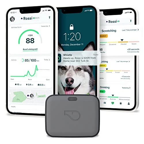 Whistle GO Explore GPS + + Fitness Dog Tracker Plus & Fitness Monitor Waterpr...