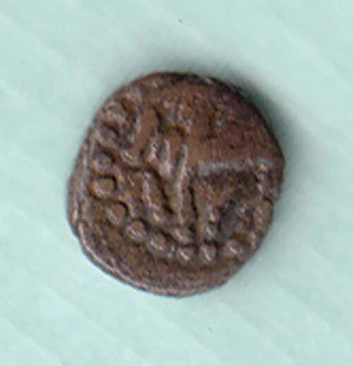 Anceint Nagas Padmawati symbol of cow Dynasty copper coin