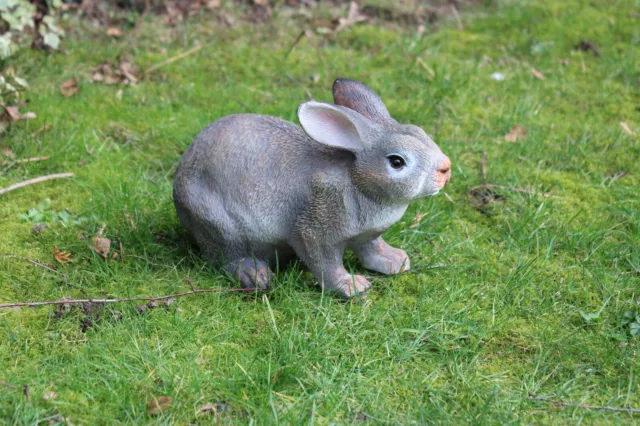 Schöner Dekohase, Dekofigur Hase, Feldhase, Rammler, Kaninchen, Gartendeko