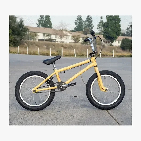 FIT 2023 MISFIT 16 Bone 16.25 TT BMX Bike 399.99 PicClick UK