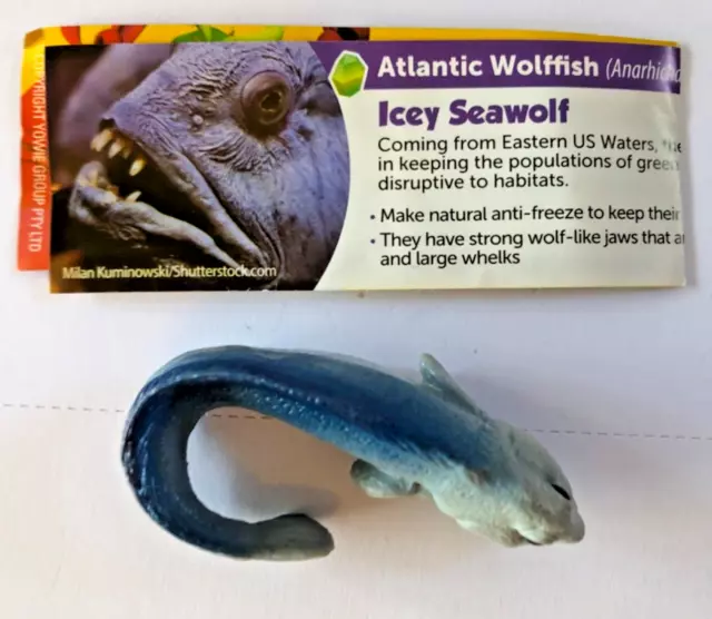 Yowie ATLANTIC WOLFFISH - Wild Water Series 2019 paper included 2