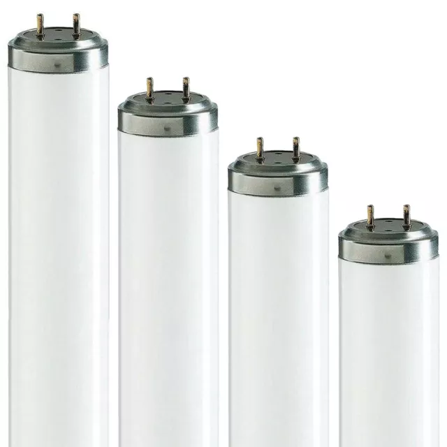 T12 Fluorescent Tubes 2ft 20w, 4ft 40w, 5ft 65w, 6ft 75w, 8ft 100w - 835 3500k