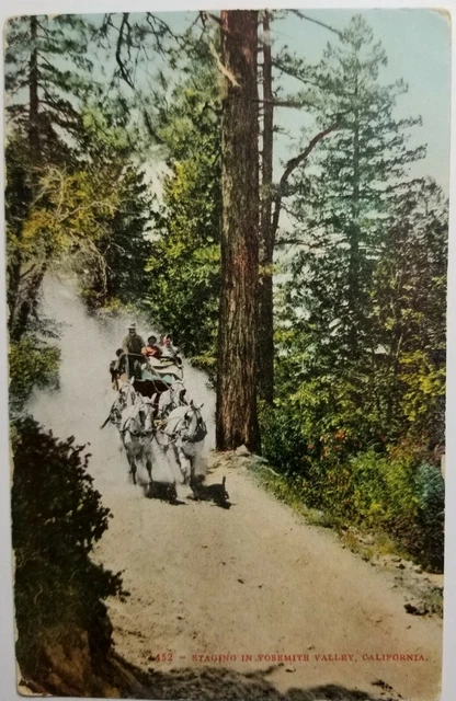 Staging in Yosemite Valley Postcard 1910 Edward Mitchell Card Making Pic  E1B