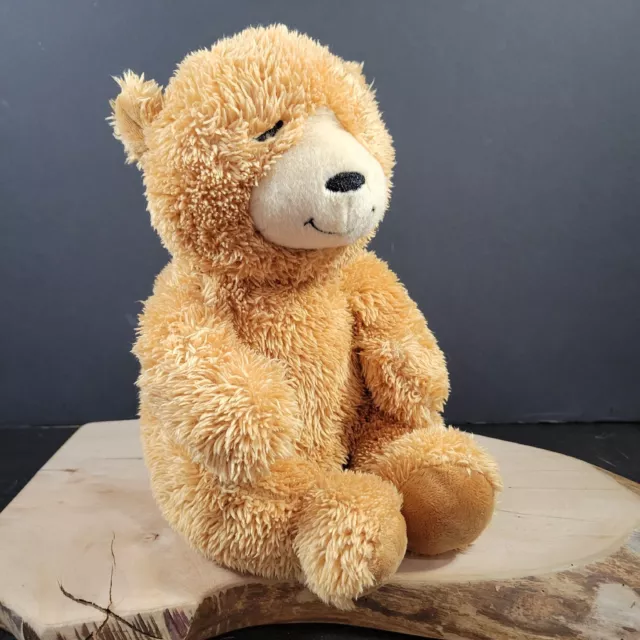 Kohls 2025 teddy bear
