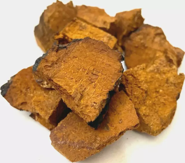 Chaga Mushroom Tea 430g Dry Fresh Best Quality Chunks (Inonotus Obliquus)