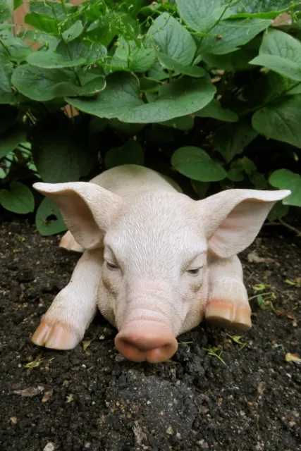 Baby Pig Napping Piglet Yard Ornament Resin Figurine Statue Farmyard Decoration