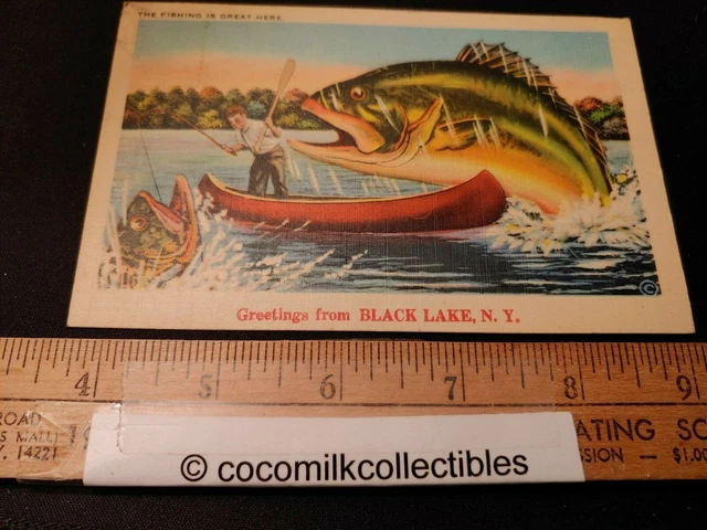 Postcard 1948 Greetings From Black Lake NY Comic Card Big Fish Fishing Linen