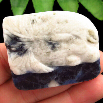 B57801 Carved Old Sodalite Fish Pendant Bead 48x38x8mm