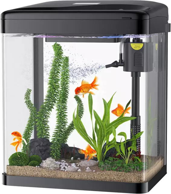 Betta Fish Tank, 2 Gallon Glass Aquarium, 3 in 1 Fish Tank with Filter and Light