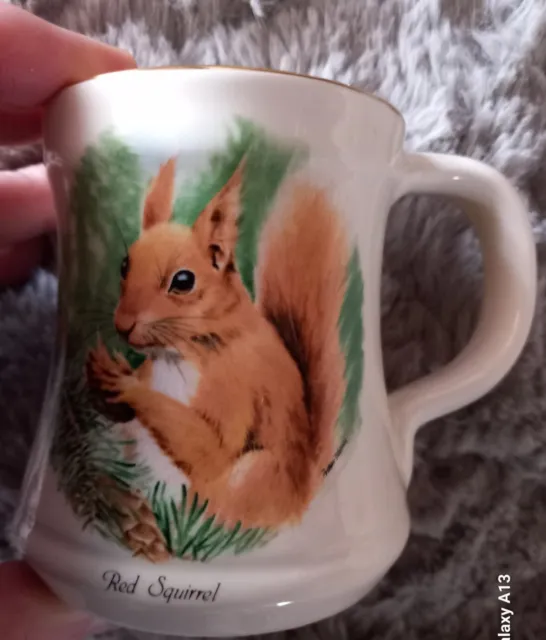 Prinknash Pottery Red Squirrel Mug with Gold Rim