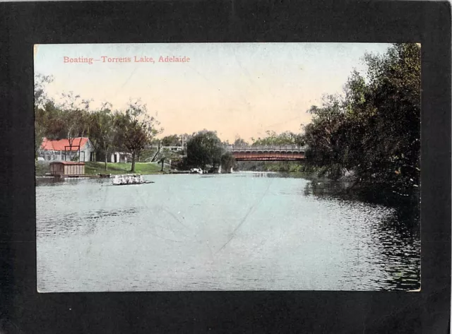 B1662 Australia SA River Torrens Adelaide rowing vintage postcard