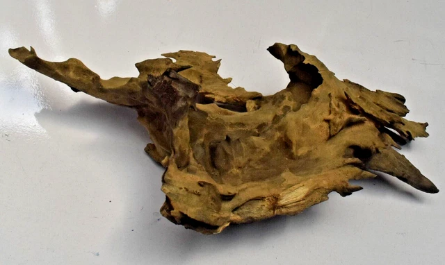 Driftwood Natural Tree Trunk Heartwood Aquarium Fish Tank Deco Length 12Inches