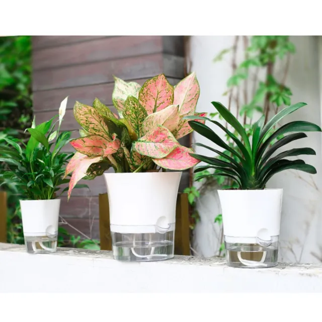 Transparent Self-Watering Plant Flower Plastic Pot  Planter Home Garden Decor