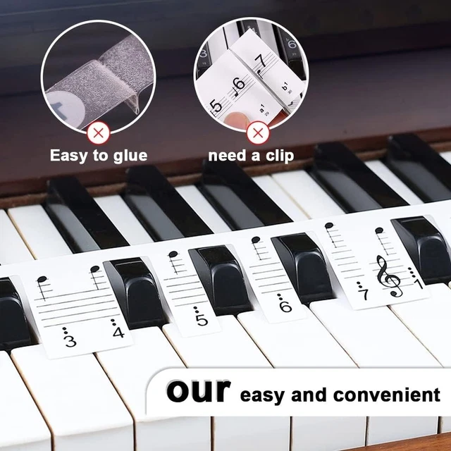 REMOVABLE 88 KEY Piano Keyboard Note Labels Guide for Beginner. No Need