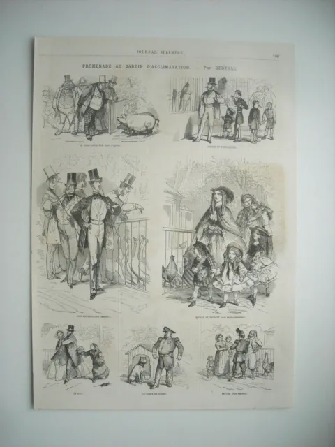 Caricatures 1864. Promenade Au Jardin D’acclimatation. Par Bertall.