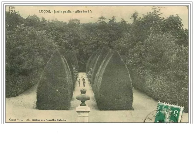 85.Lucon.jardin Public.allee Des Ifs