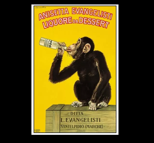 Vintage Funny Monkey Drinking Liquor PHOTO Circus Beer Chimp, Freak Strange Pic