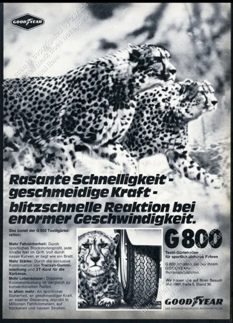 1969 cheetah couple photo Goodyear tires German vintage print ad
