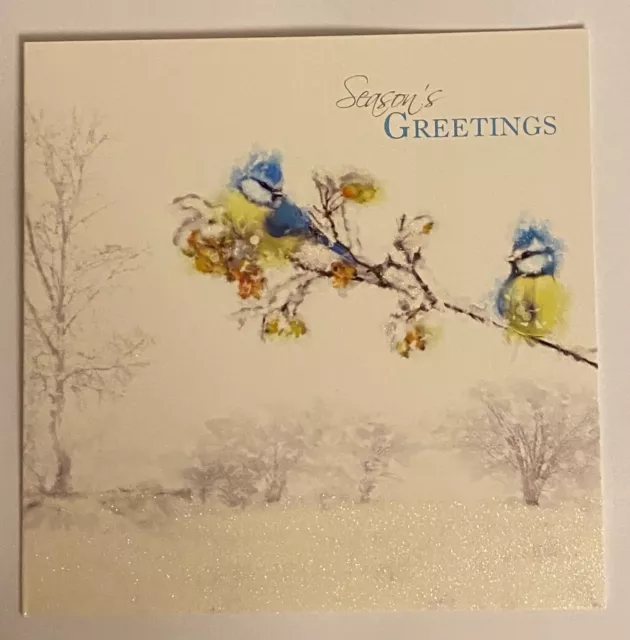 Frosty Perch Blue Tit Bird on branch Luxury 5 Christmas cards pack glitter
