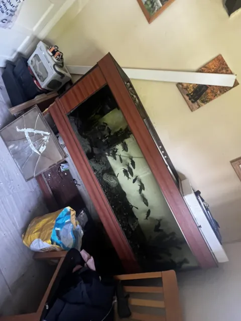 6 Foot Fish Tank With Stand
