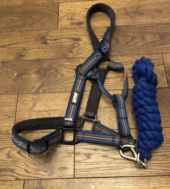 Roma Padded Striped Headcollar & Blue Lead Rope Cob Size