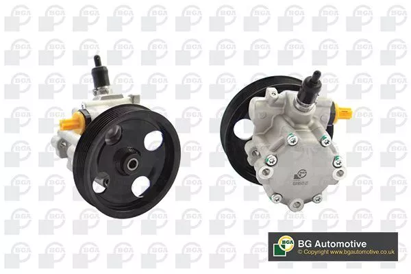 BGA PSP4300 Steering System Hydraulic Pump Replacement Service Fits LDV Maxus