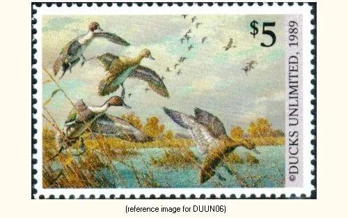 D2K Ducks Unlimited Annual Stamp 1989 $5