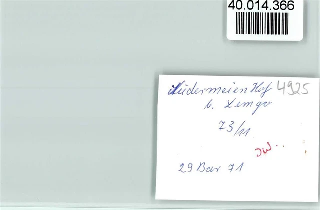 40014366 - 4920 Lemgo Niedermeien court rider horse 2
