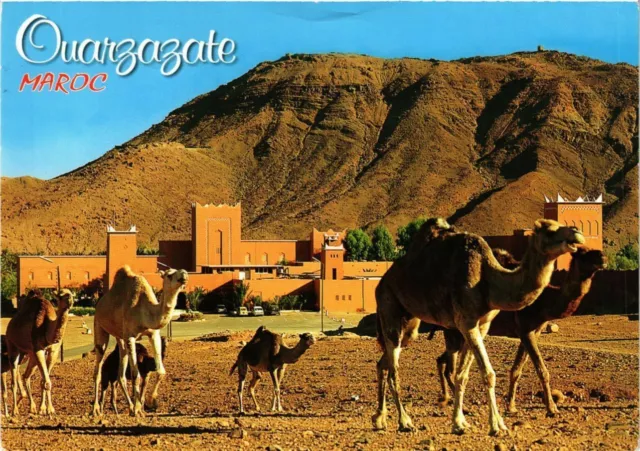 CPM AK MAROC Souvenir de OUARZAZATe (342539)